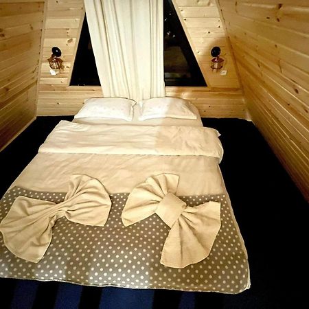 Ska Cottage 카즈베기 외부 사진